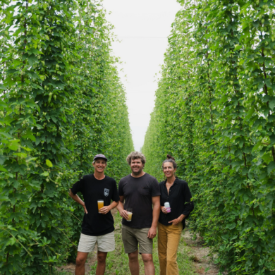 Ryefield Hops – New Release