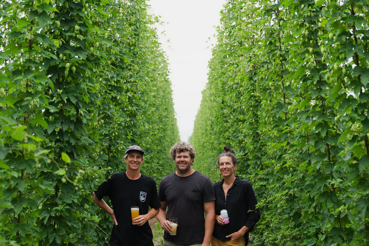 Ryefield Hops – New Release