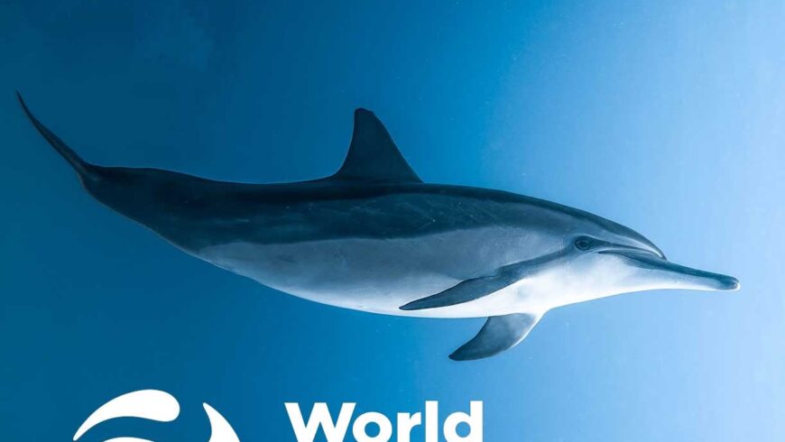 Jervis Bay Brewing Co – World Oceans Day